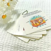 Pocket reference cards – Anatomy - Image 2