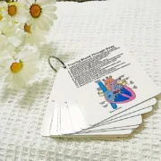 Pocket reference cards – Anatomy - Image 3