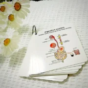 Pocket reference cards – Anatomy - Image 4