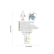 Pocket reference cards – ECG & emergency - Image 4